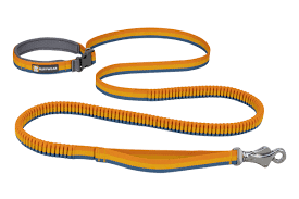 Ruffwear Roamer Bungee Dog Leash