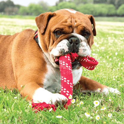 Rogz Scrubz Dental Toy