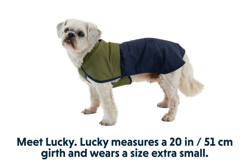 Ruffwear Sun Shower Dog Raincoat