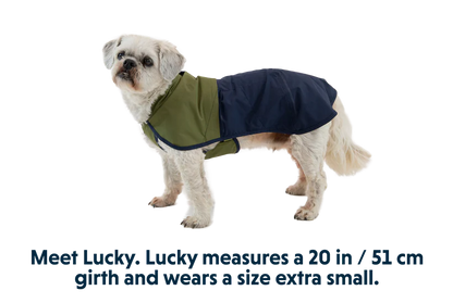 Ruffwear Sun Shower Dog Raincoat