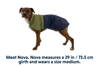 Ruffwear Sun Shower Dog Raincoat