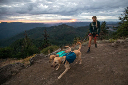 Ruffwear Switchbak Double-Ended Dog Leash