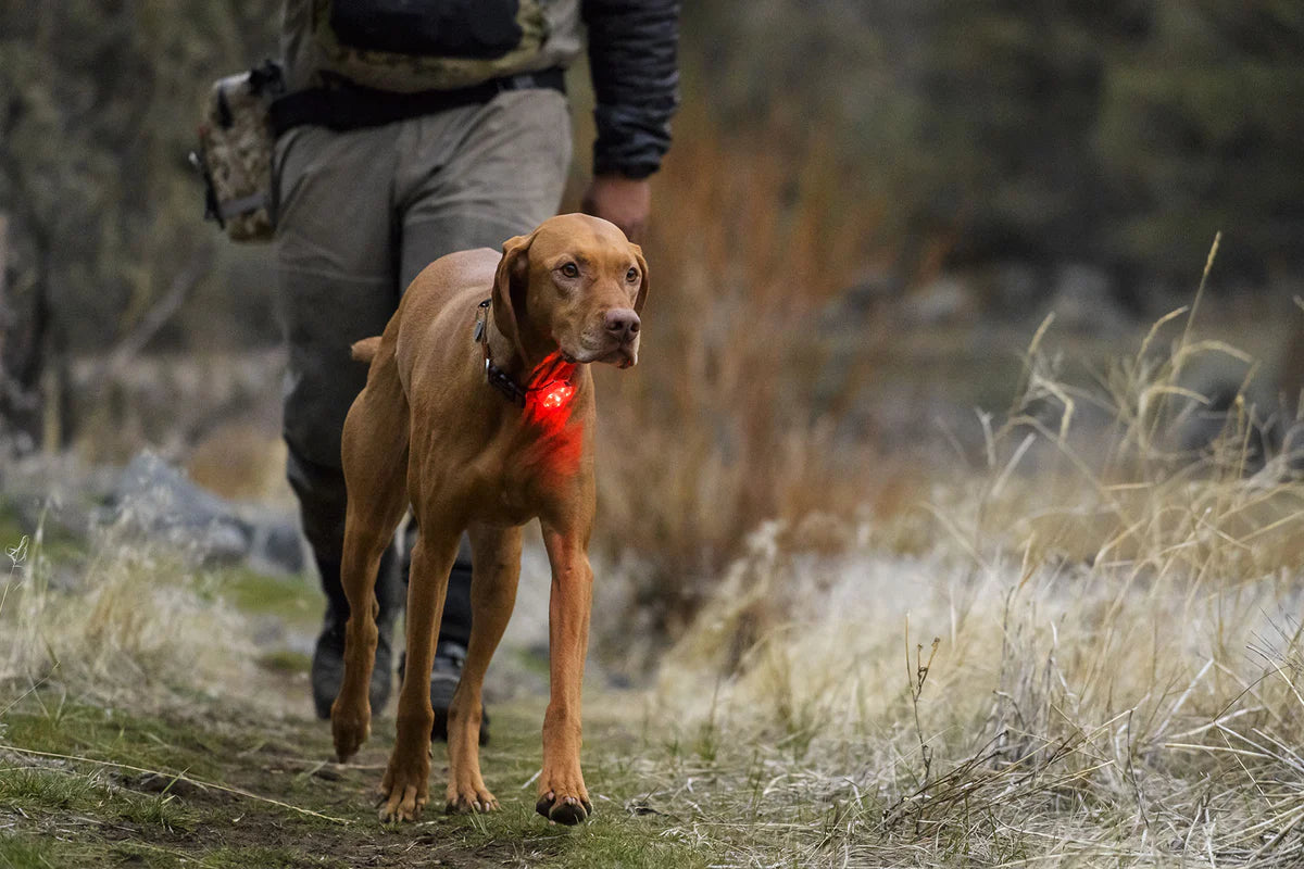 Ruffwear The Beacon Waterproof Light