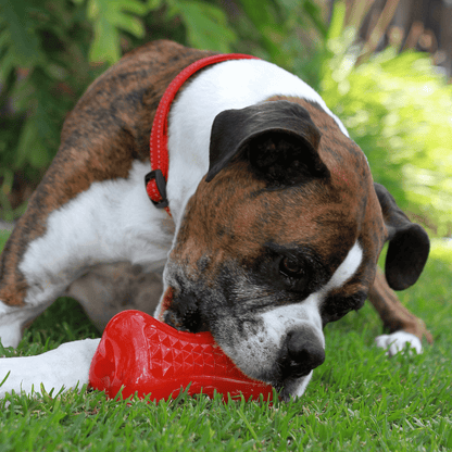 Rogz Yumz Chew & Treat Toy