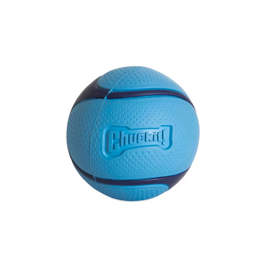 Chuckit! Sniff Fetch Ball Bacon Medium