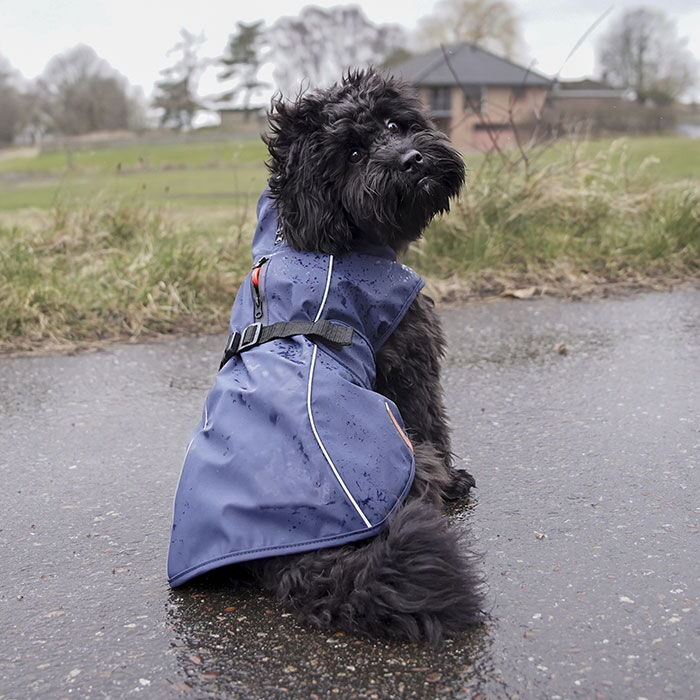 Trixie - Be Nordic Dog Raincoat