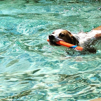 Chuckit! Ultra Fetch Stick