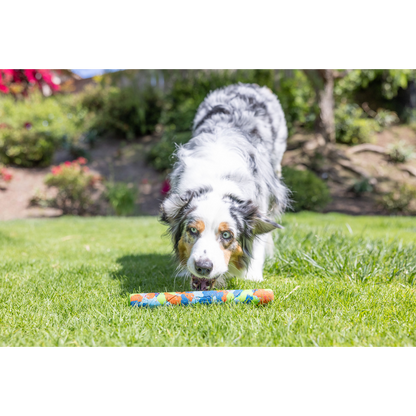 Chuckit! Eco Fetch Stick