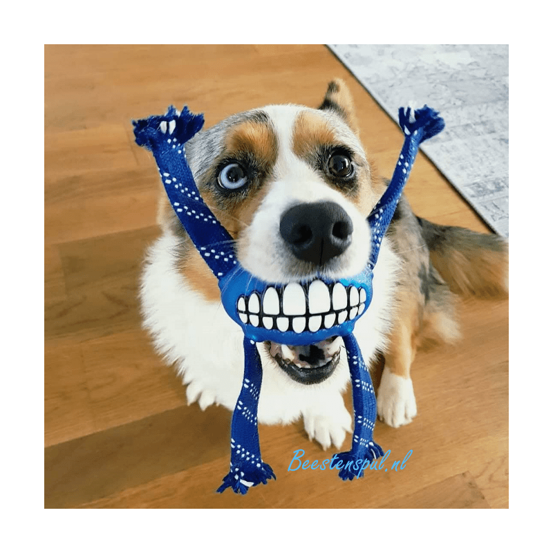 Rogz Flossy Grinz Dental Toy