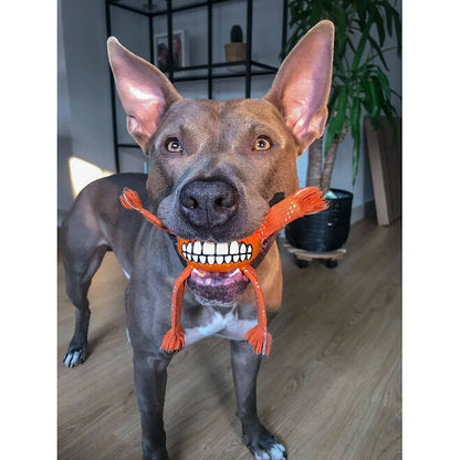 Rogz Flossy Grinz Dental Toy