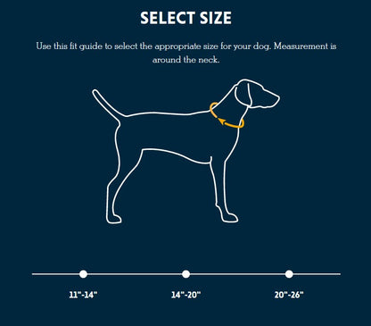 Ruffwear Front Range Collar