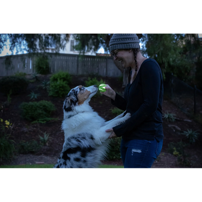 Chuckit! Max Glow Ultra Squeaker Ball Medium