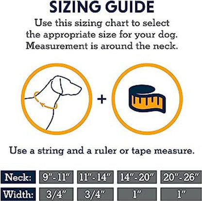 Ruffwear Hi & Light Collar