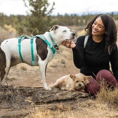 Ruffwear Hi & Light Harness