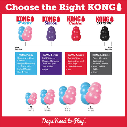 Kong - Puppy
