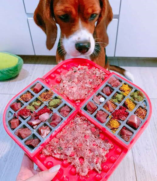 Lickimat Slomo for Dogs