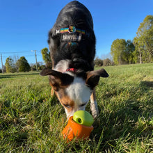 Load image into Gallery viewer, West Paw - Toppl
