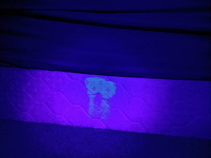 Odorex - Pet Urine Stain Detector