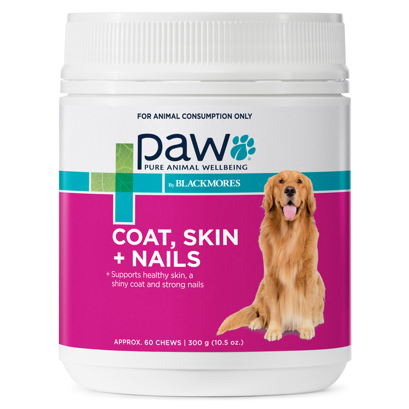 PAW Coat Skin Nails Chews 300g
