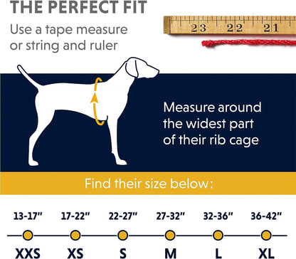 Ruffwear Sun Shower Dog Raincoat