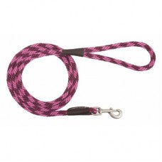 Mendota Snap Leads Small