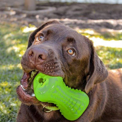 Rogz Yumz Chew & Treat Toy