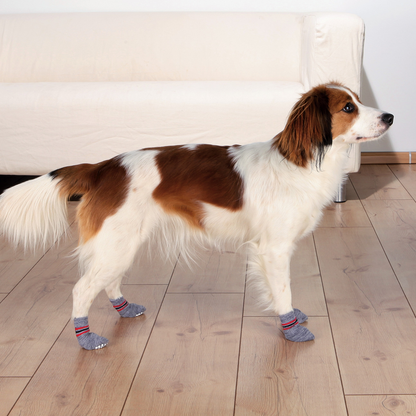 Trixie Dog Socks
