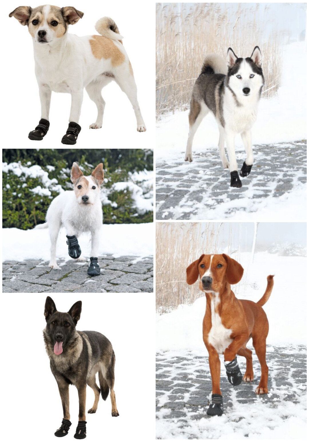 Trixie Walker Active Protective Boots