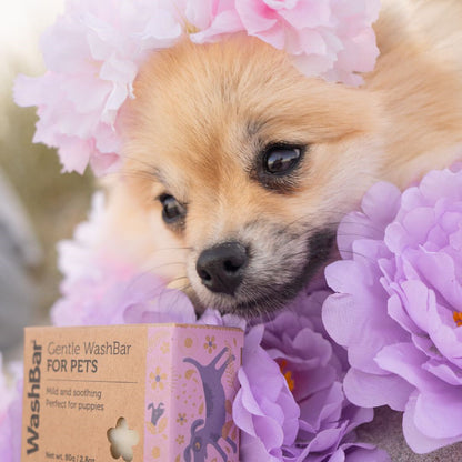 WashBar - Gentle Shampoo Bar for Puppies