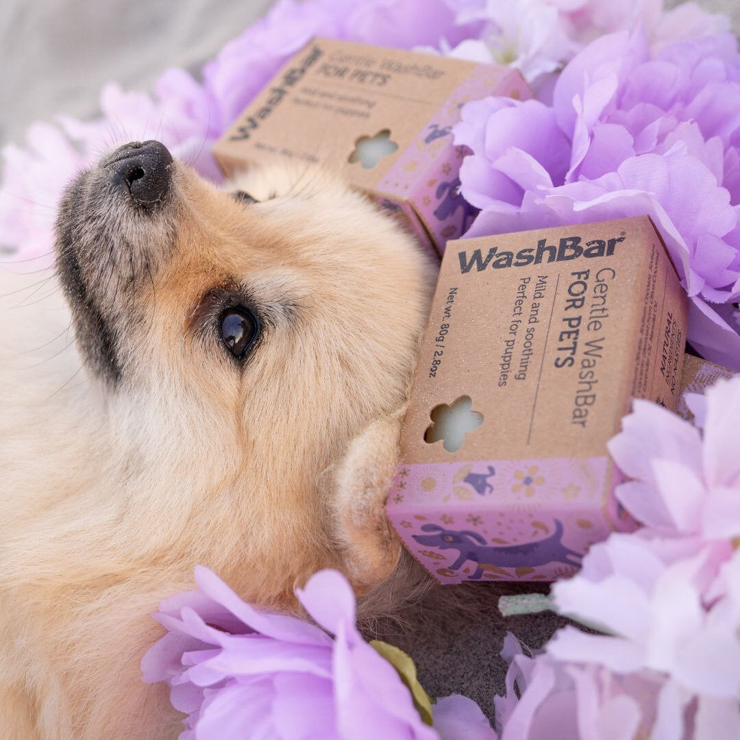WashBar - Gentle Shampoo Bar for Puppies
