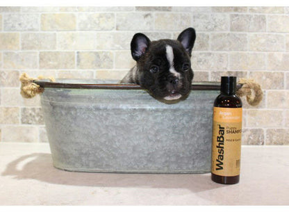 Washbar - Puppy Shampoo
