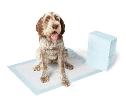 Yours Droolly - Urine Neutralising Training Pads
