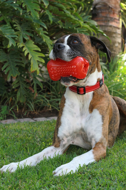 Rogz Yumz Chew & Treat Toy