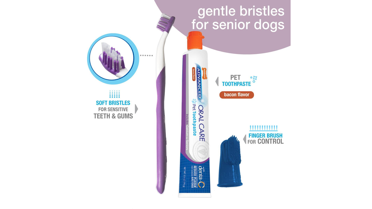 Advanced Oral Care Senior Dental Kit
