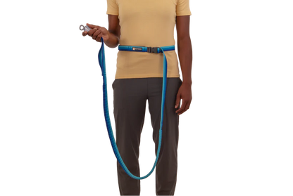 Ruffwear Roamer Bungee Dog Leash