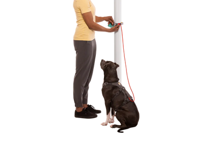 Ruffwear Hitch Hiker Leash