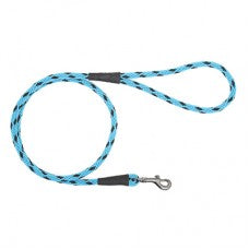 Mendota Snap Leads Small