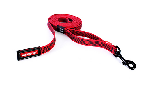EzyDog Leash Track'n Train 5m